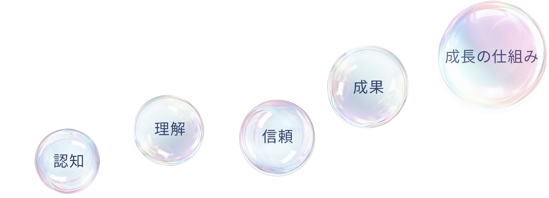 glass FV sp